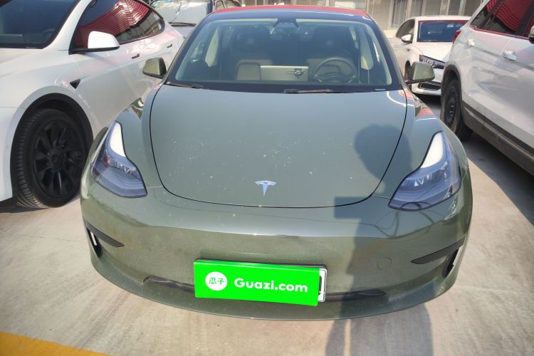 Tesla Model 3 2021 immagine di auto #3