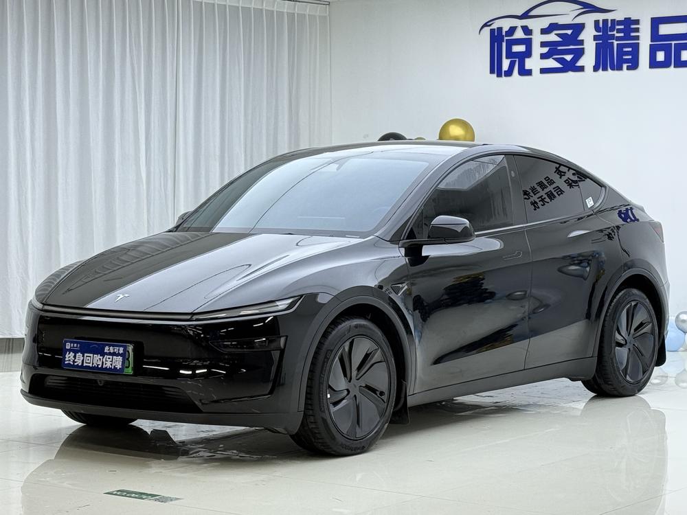Tesla Model Y 2025 Tesla Model Y 2025 car image