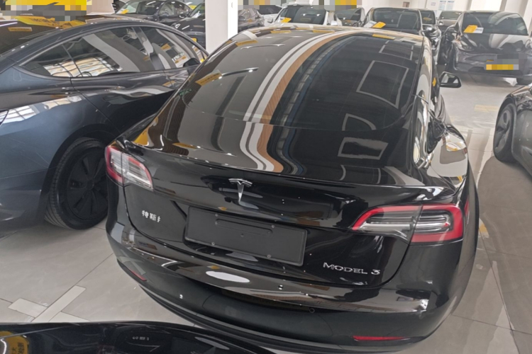 Tesla Model 3 2023 #6 Tesla Model 3 2023 car image #6