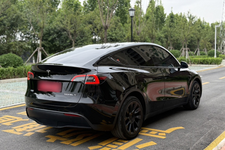 Tesla Model Y 2022 car image #7