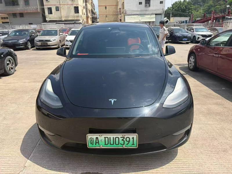 Tesla Model Y 2021 car image #6