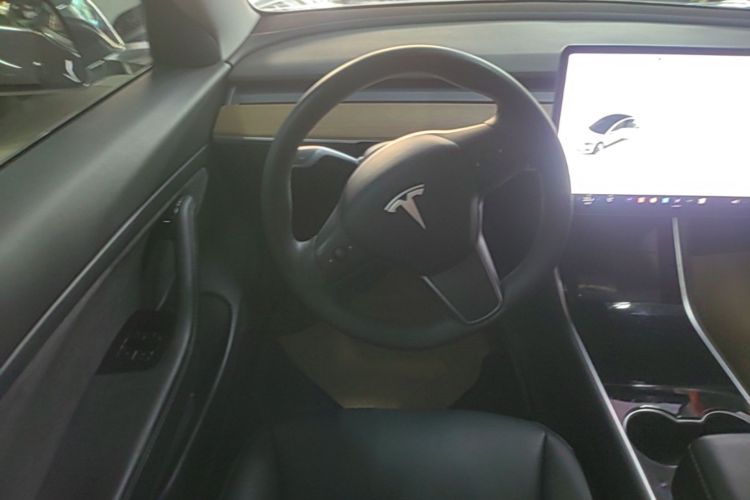 Tesla Model 3 2020 car image #15