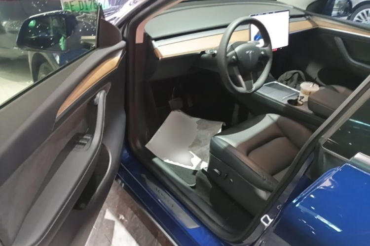 Tesla Model Y 2021 #12 Tesla Model Y 2021 car image #12