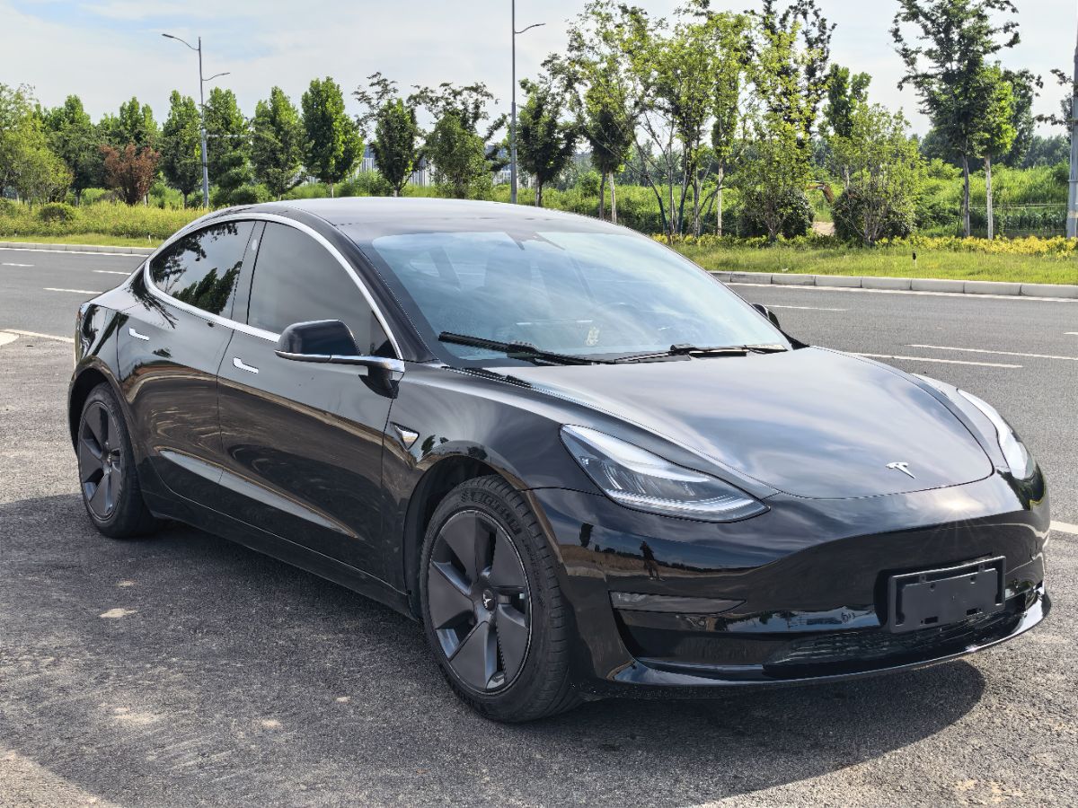 Tesla Model 3 2020 #3 Tesla Model 3 2020 car image #3