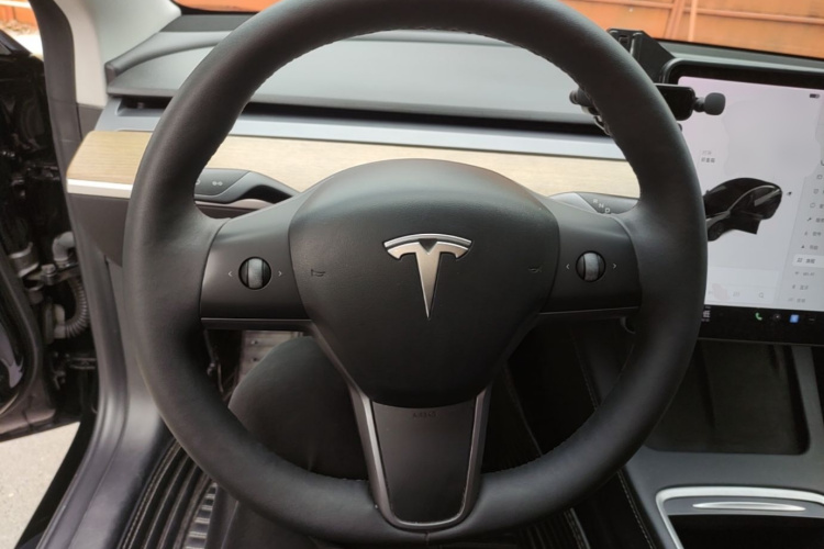 Tesla Model 3 2021 imagem de carro #15