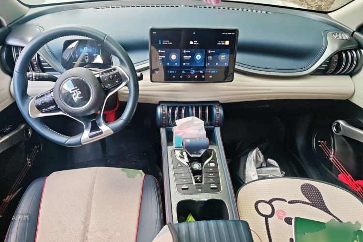 BYD Yuan Plus 2023 #11 BYD Yuan Plus 2023 immagine di auto #11