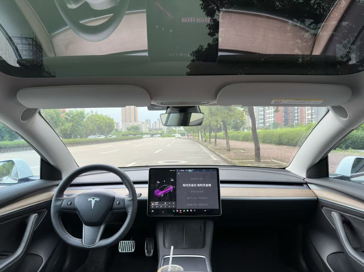 Tesla Model 3 2021 #4 Tesla Model 3 2021 car image #4