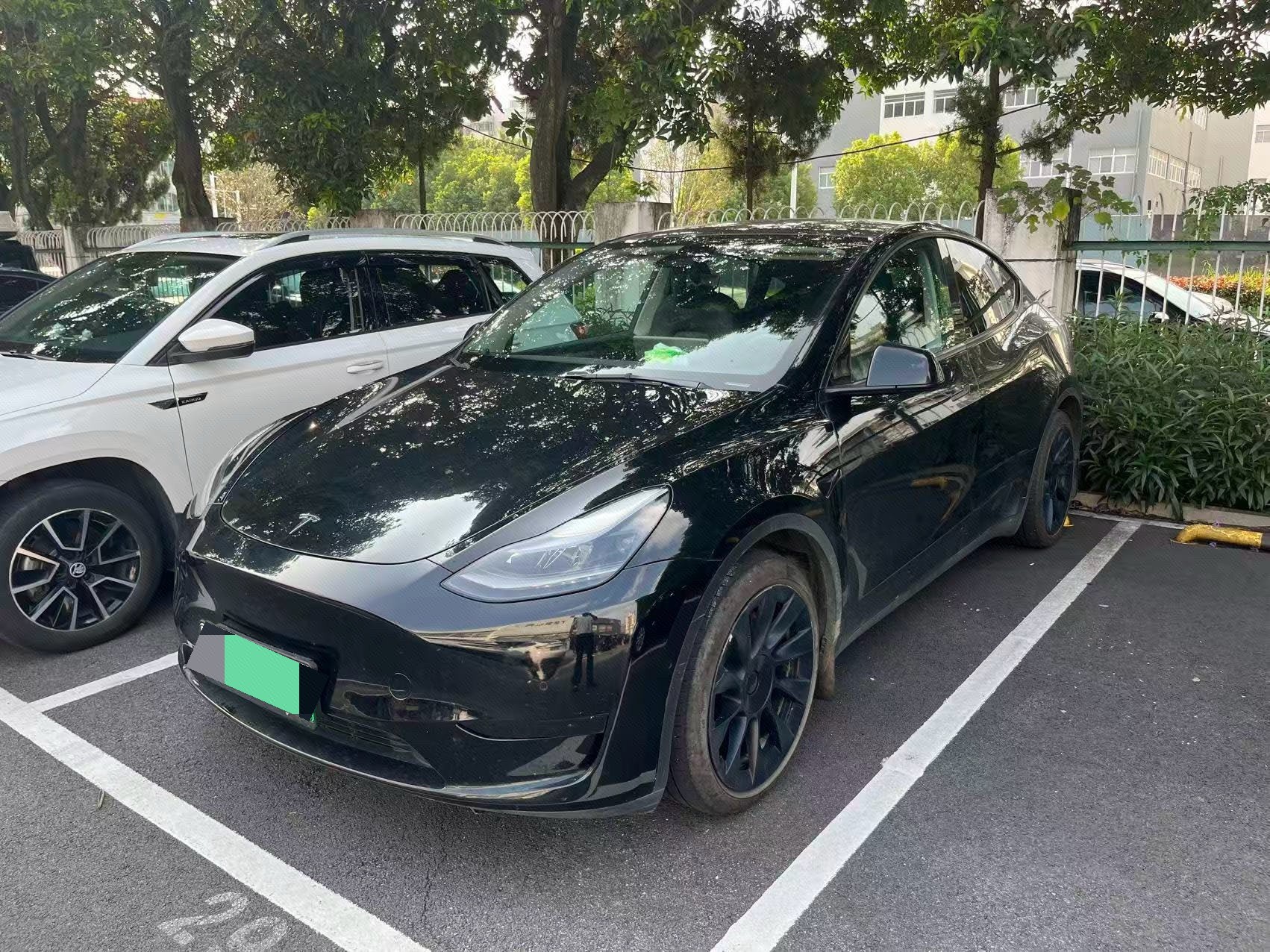 Tesla Model Y 2022 Tesla Model Y 2022 car image