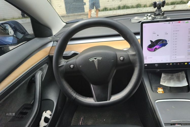 Tesla Model 3 2021 car image #12