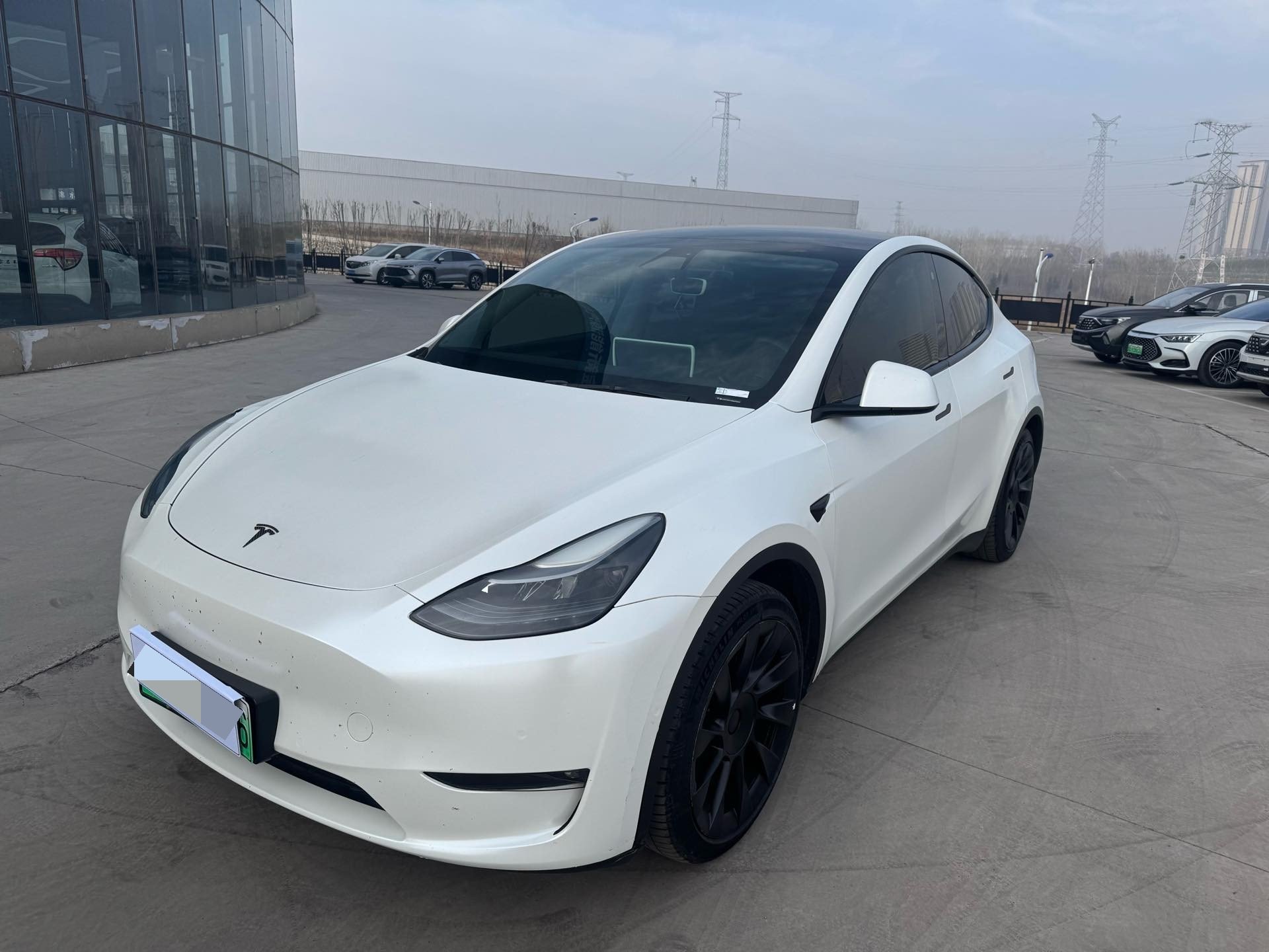 Tesla Model Y 2022 car image 