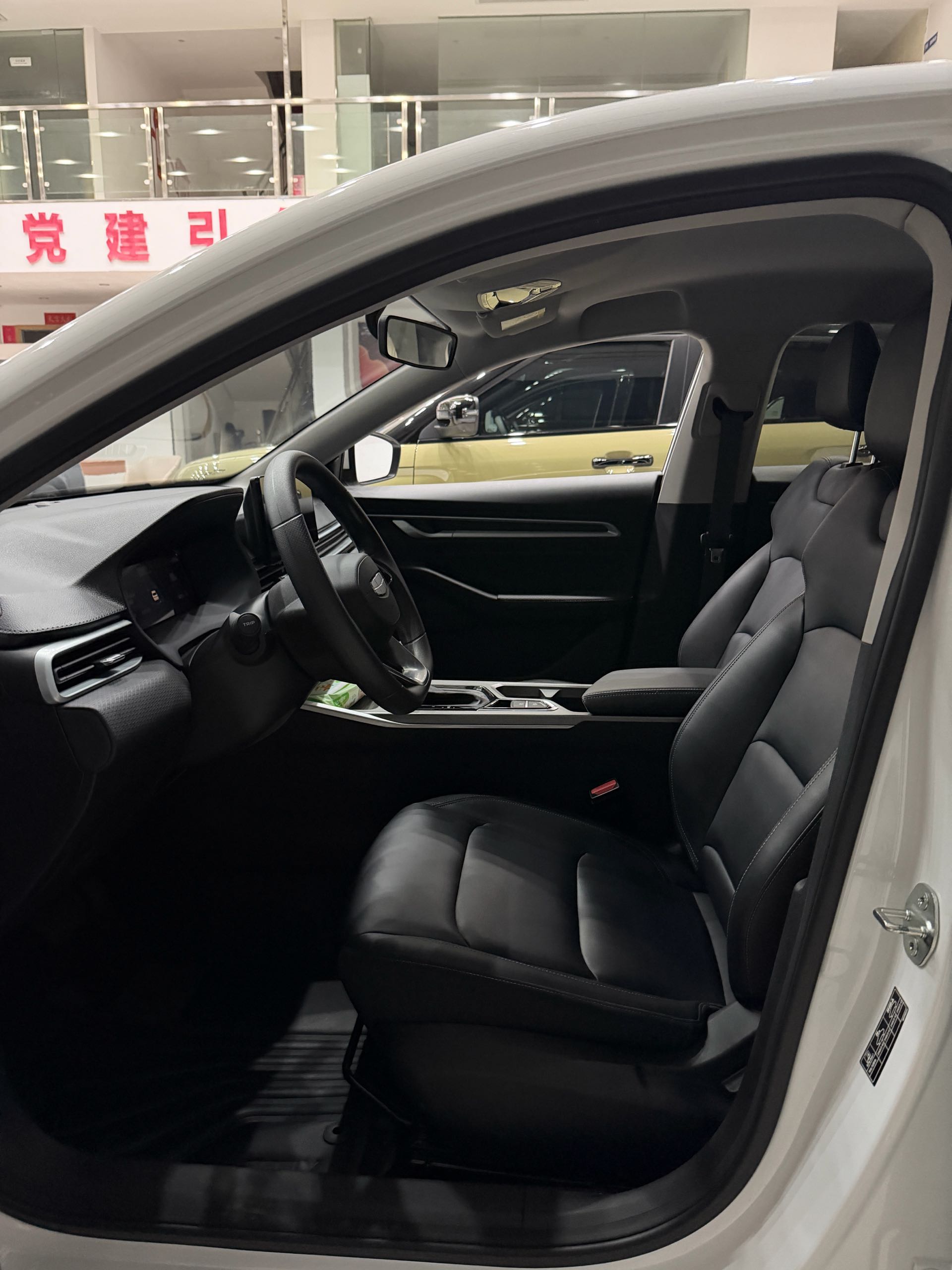 GEELY Emgrand 2025 #8 GEELY Emgrand 2025 immagine di auto #8