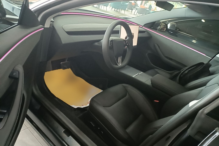Tesla Model 3 2024 car image #12