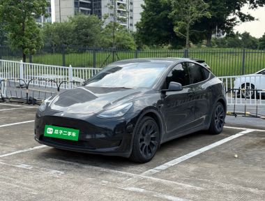 Tesla Model Y 2023 car image 