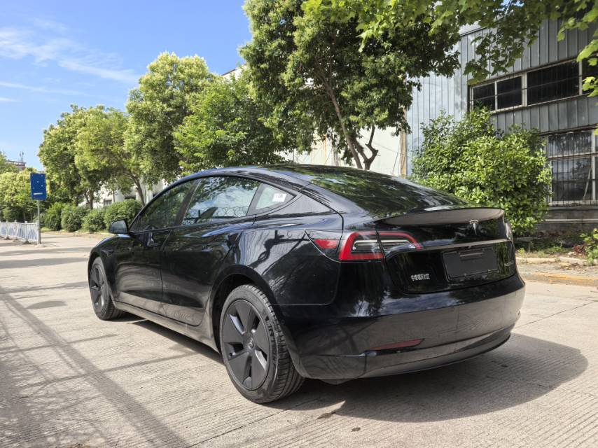 Tesla Model 3 2021 #9 Tesla Model 3 2021 car image #9