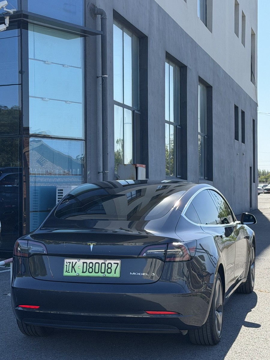 Tesla Model 3 2020 car image #4