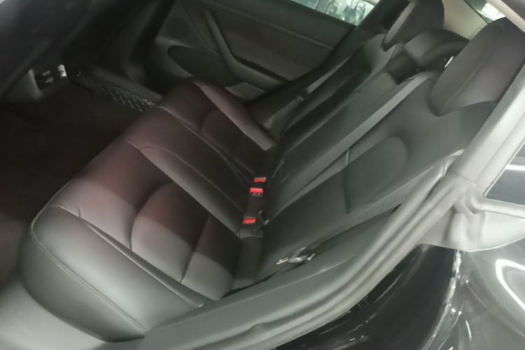 Tesla Model 3 2021 car image #17