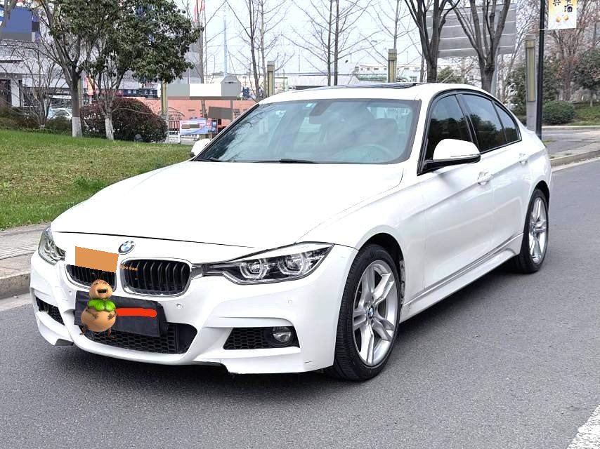 BMW 3 Series 2019 car image 