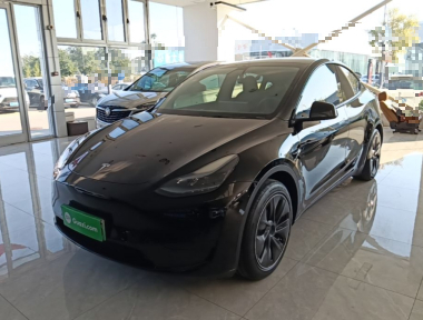 Tesla Model Y 2023 Tesla Model Y 2023 car image