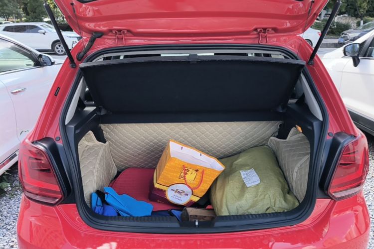 Volkswagen Polo 2018 car image #19