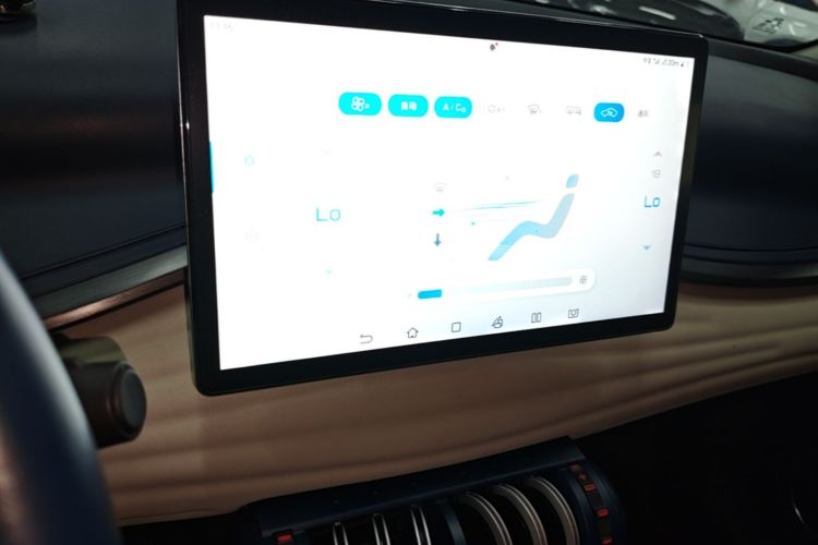 BYD Yuan Plus 2022 car image #13