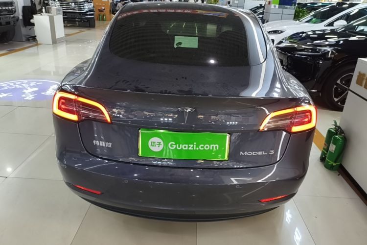 Tesla Model 3 2020 car image #6