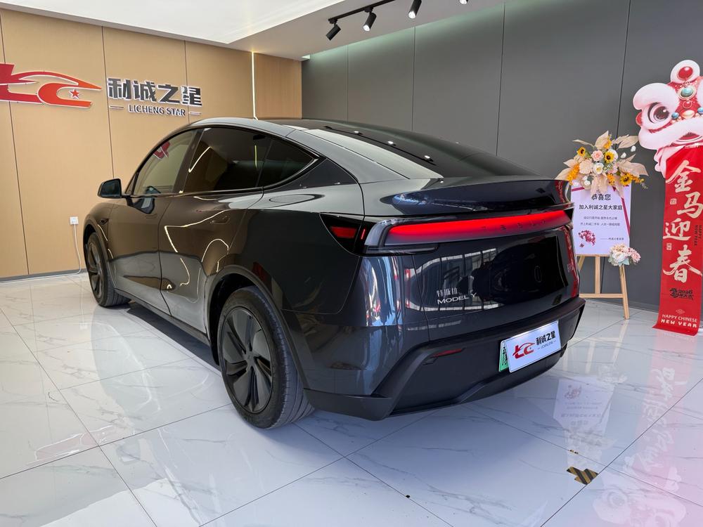 Tesla Model Y 2025 car image #4
