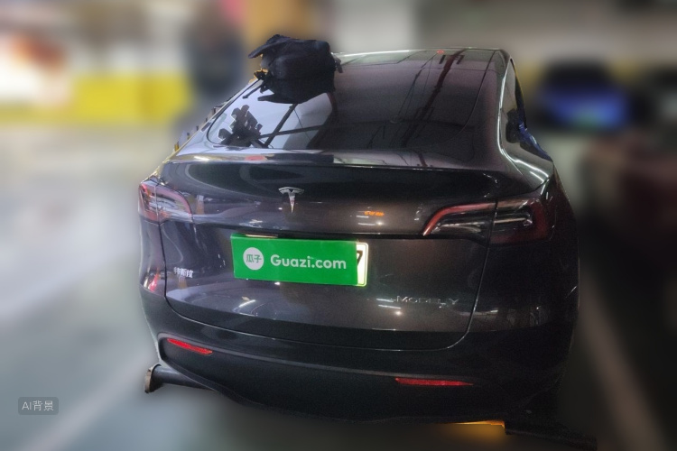 Tesla Model Y 2024 car image #6