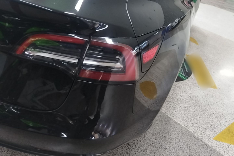 Tesla Model 3 2021 #8 Tesla Model 3 2021 car image #8