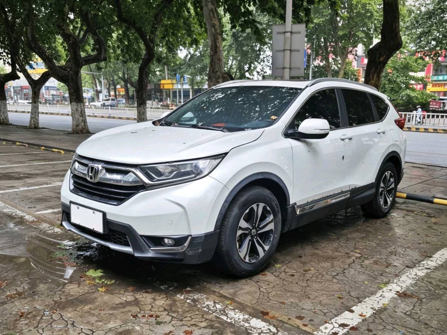Honda CR-V 2019 car image 
