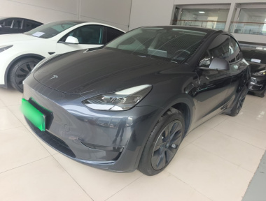 Tesla Model Y 2024 car image 
