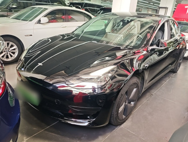 Tesla Model 3 2020 car image 