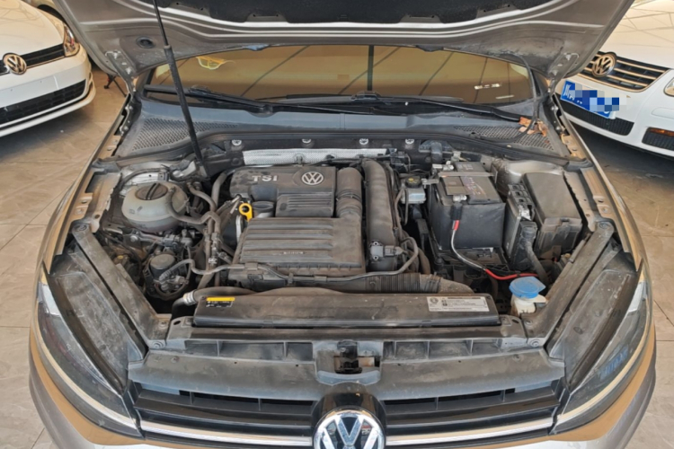 Volkswagen Golf 2020 car image #20
