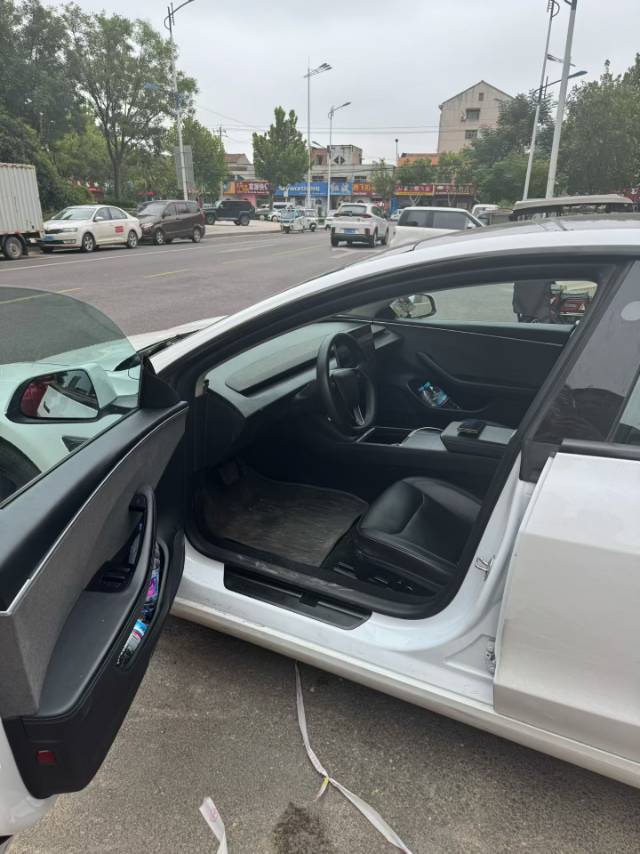 Tesla Model 3 2023 #2 Tesla Model 3 2023 car image #2