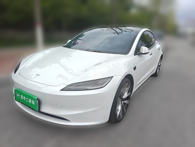 Tesla Model 3 2024 Tesla Model 3 2024 car image
