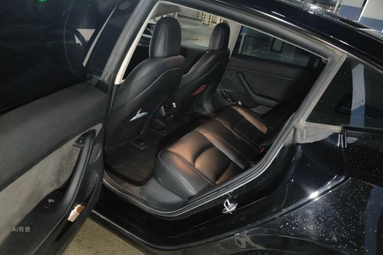 Tesla Model 3 2022 car image #19