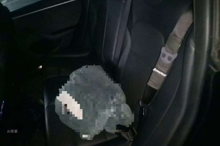 Tesla Model 3 2023 immagine di auto #19