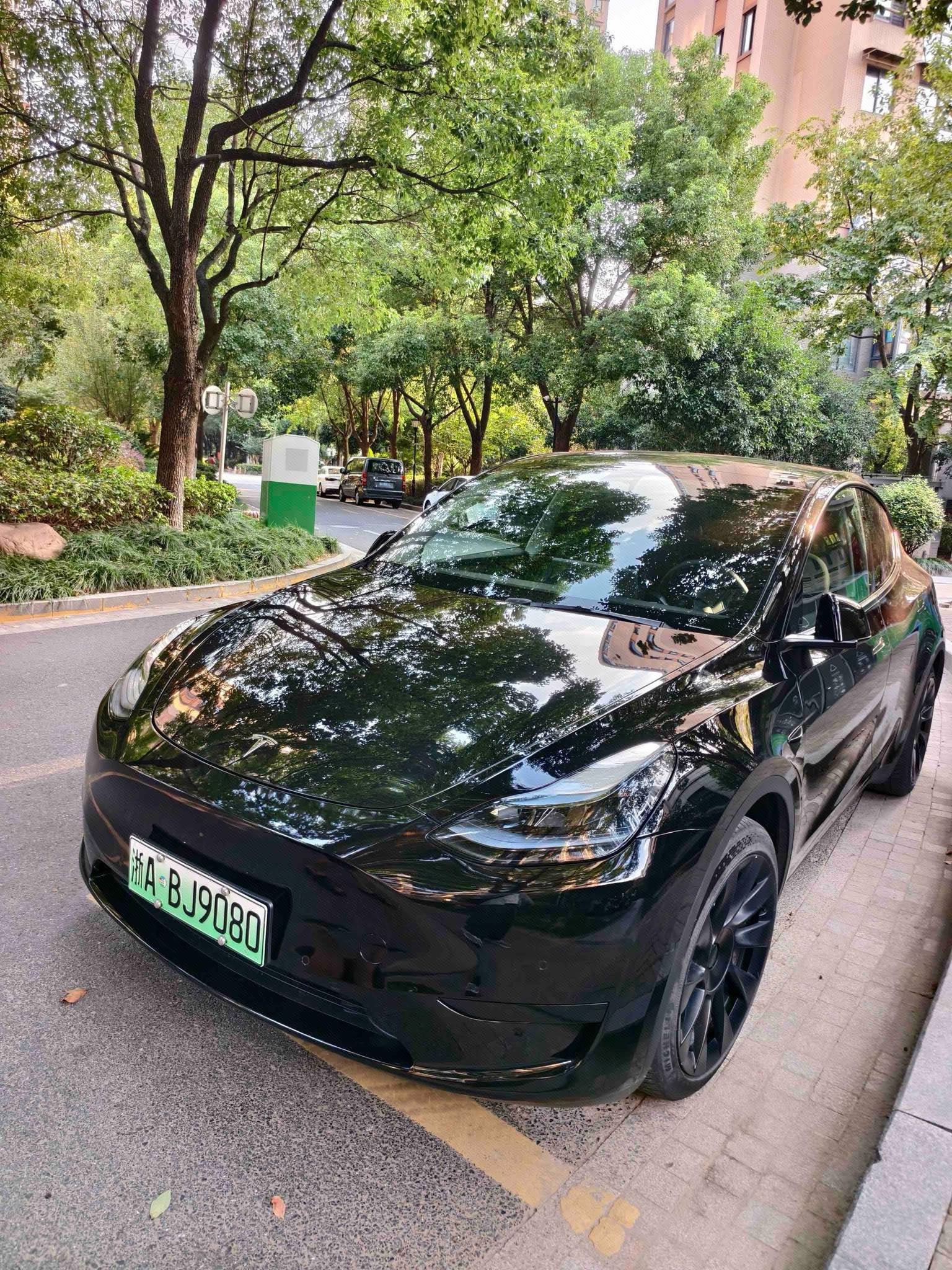 Tesla Model Y 2023 Tesla Model Y 2023 car image