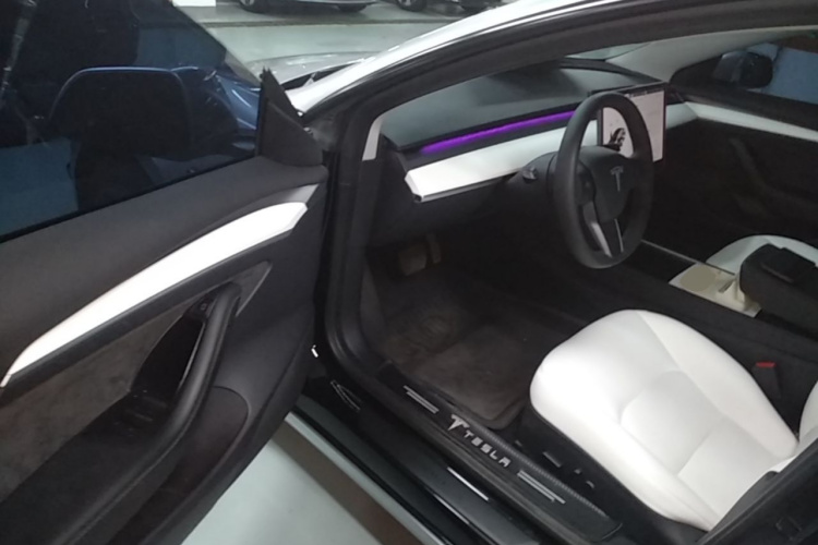 Tesla Model 3 2021 car image #16