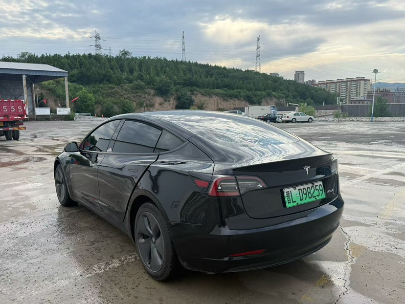 Tesla Model 3 2020 car image #9