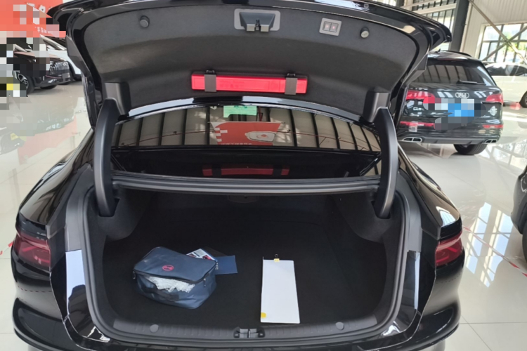 BYD Han 2024 car image #19