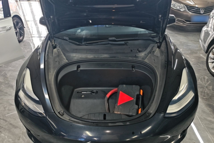Tesla Model 3 2020 car image #20