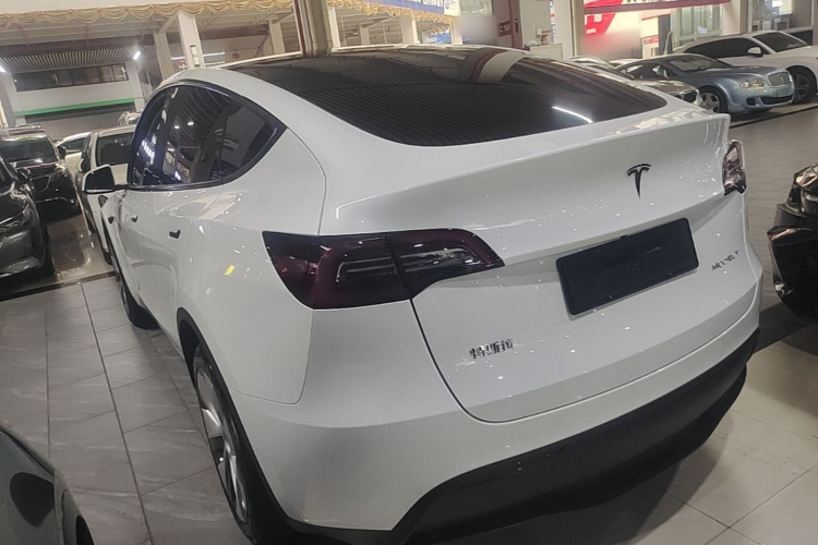 Tesla Model Y 2023 #7 Tesla Model Y 2023 car image #7