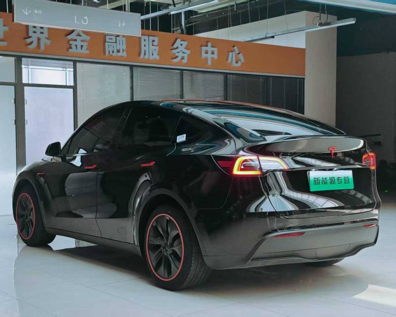 Tesla Model Y 2023 car image #5