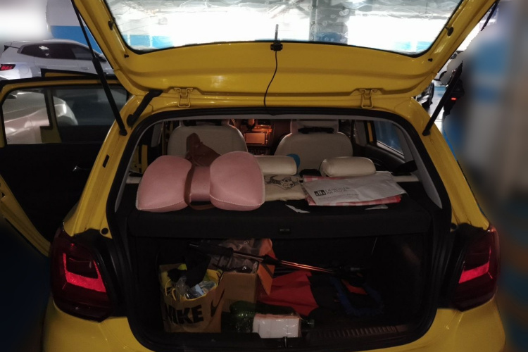 Volkswagen Polo 2015 car image #21