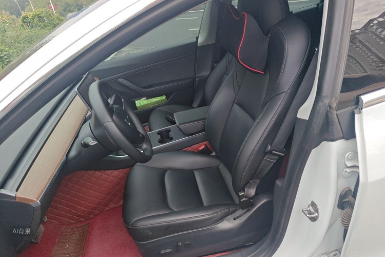 Tesla Model 3 2020 car image #17