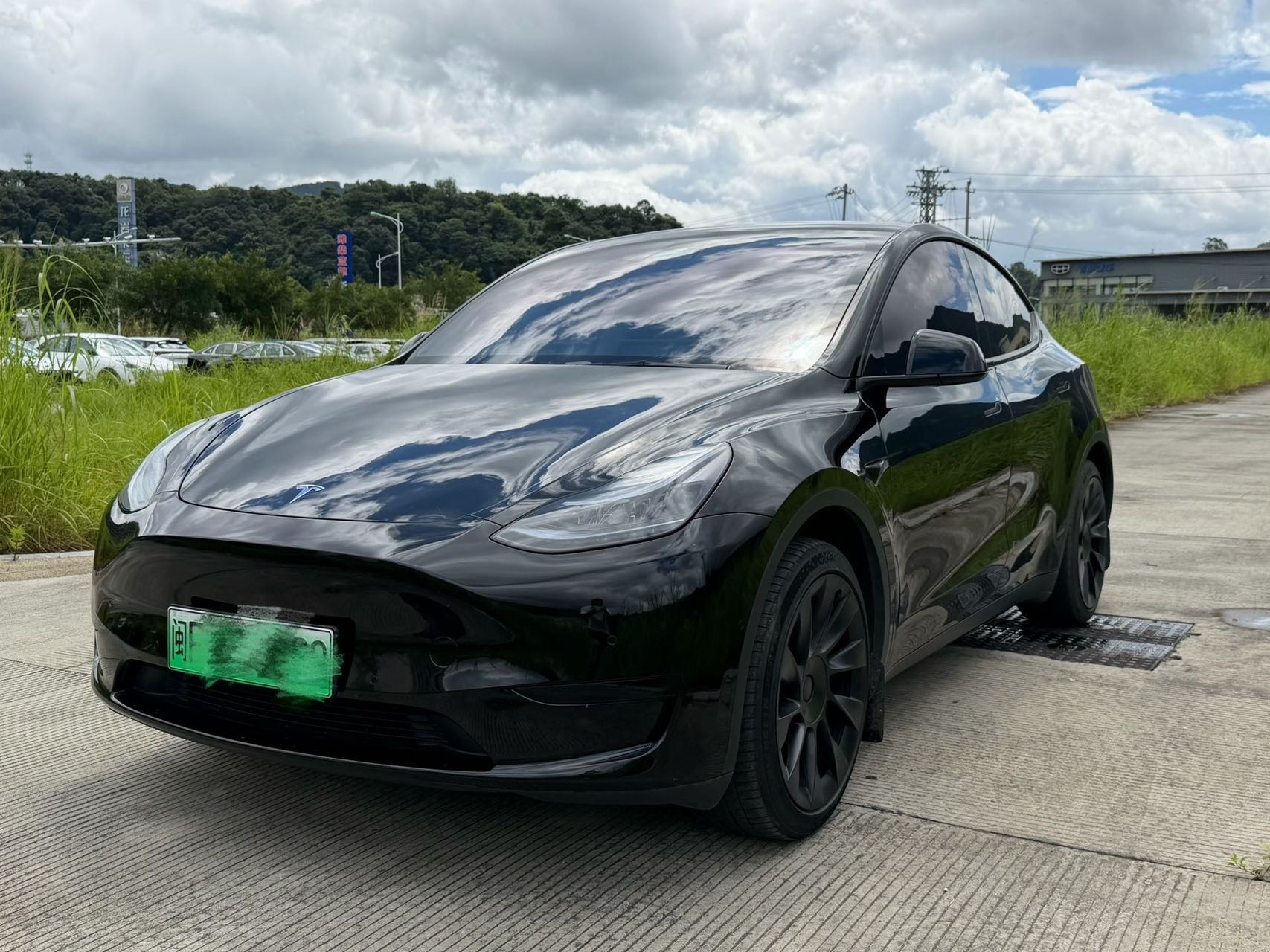 Tesla Model Y 2024 car image 