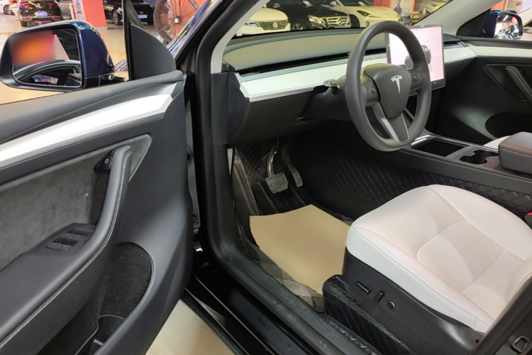 Tesla Model Y 2022 car image #12