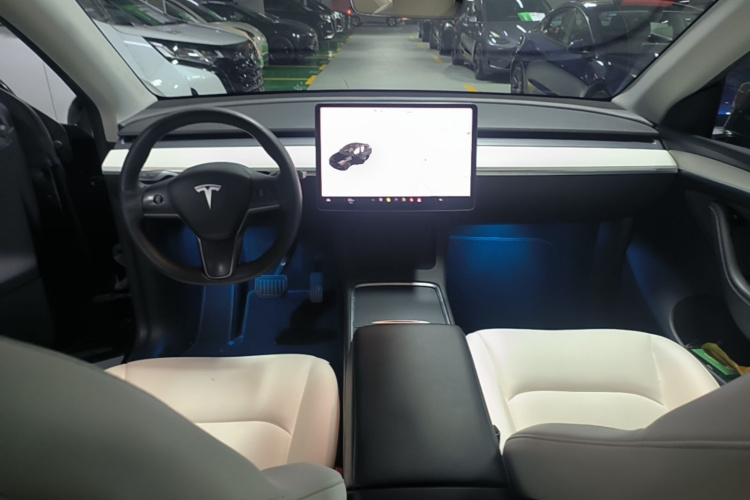 Tesla Model Y 2021 car image #10