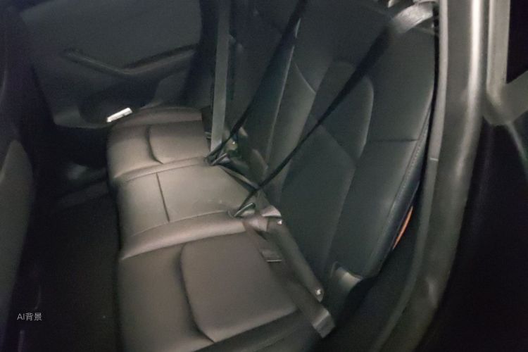 Tesla Model Y 2024 car image #19