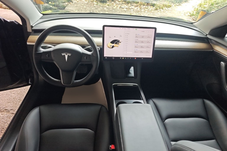 Tesla Model 3 2021 #11 Tesla Model 3 2021 immagine di auto #11